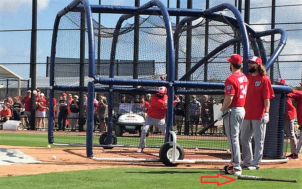 Washington Nationals: Seen & Heard at Spring Training; Adam Eaton ...