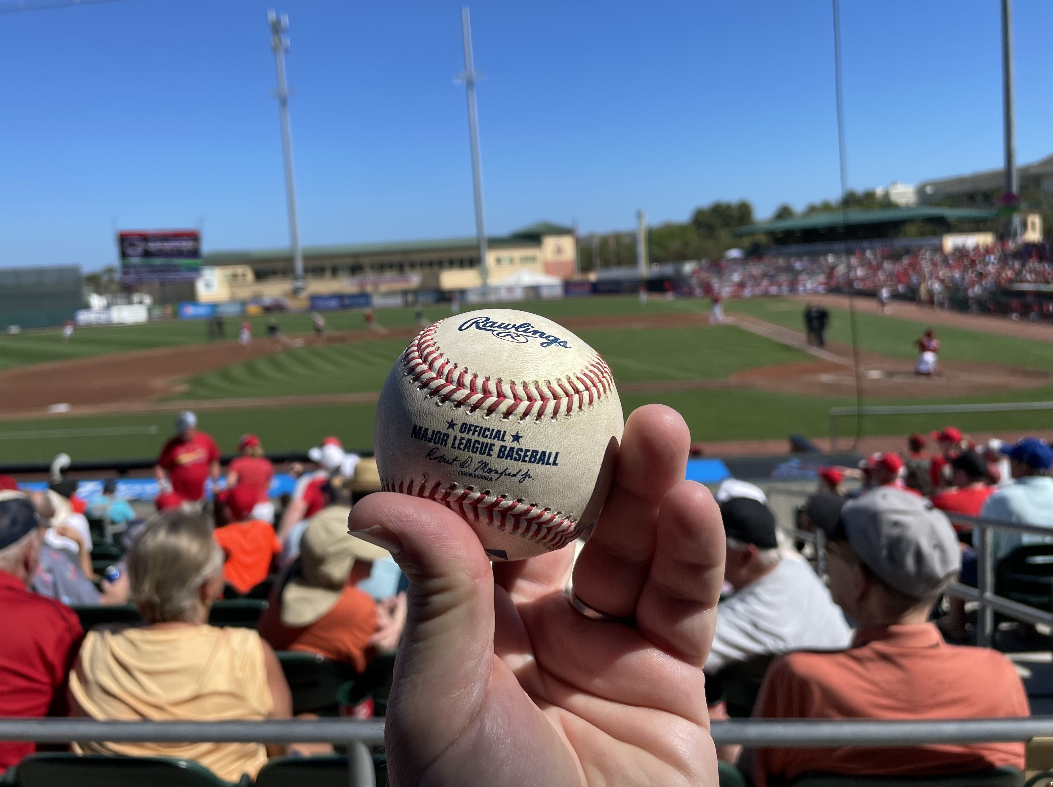 Rawlings MLB 2019 Florida Spring Training Baseballs